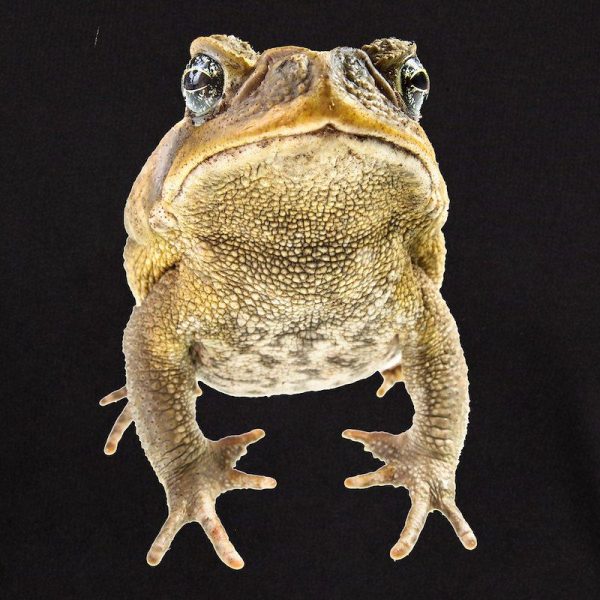 CANE TOAD SQUAD Men’s Value T-Shirt - Image 3