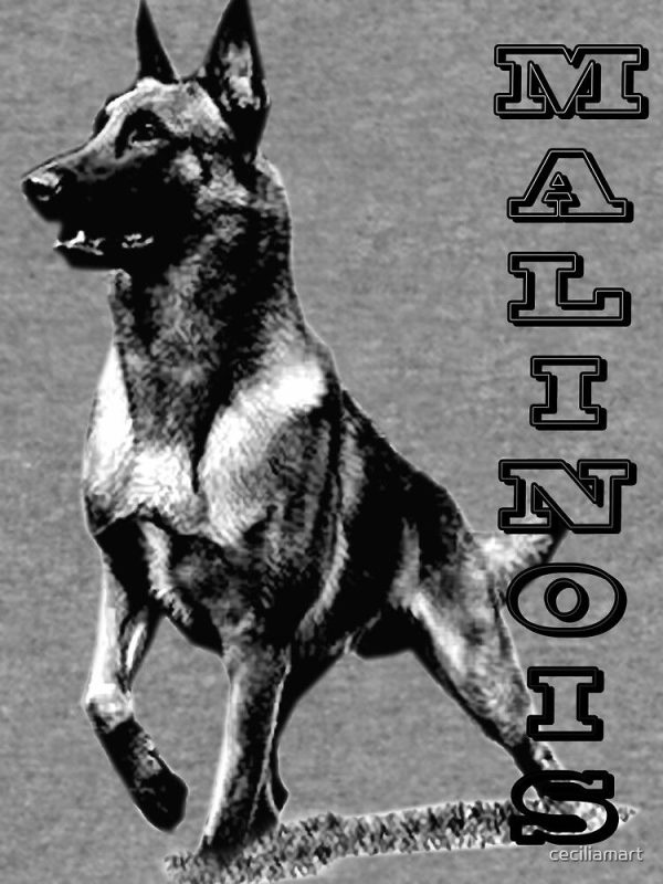 Belgian Malinois are the Best Lightweight Sweatshirt - Image 2