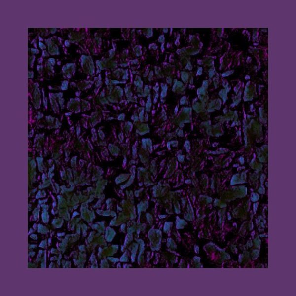 Dragon scales purple T-Shirt - Image 2