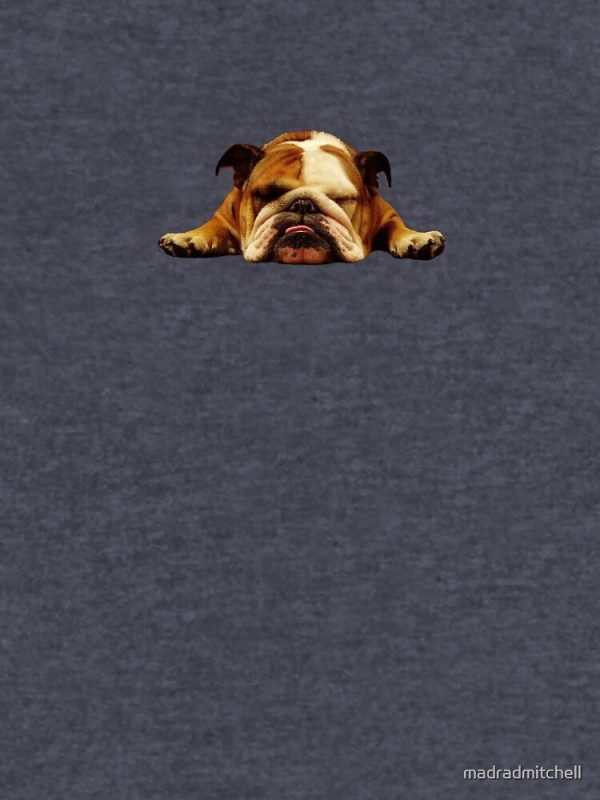 English Bulldog – Lazy Beast Lightweight Hoodie - Image 2