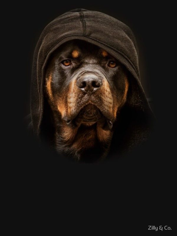 Rottweiler The Boss Dog  Lightweight Hoodie - Image 2