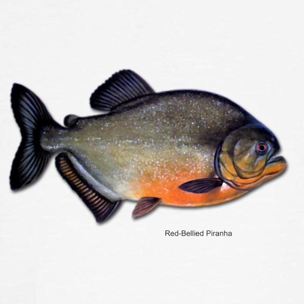 Red-Bellied Piranha Fish Men’s Crewneck Sweatshirt - Image 4