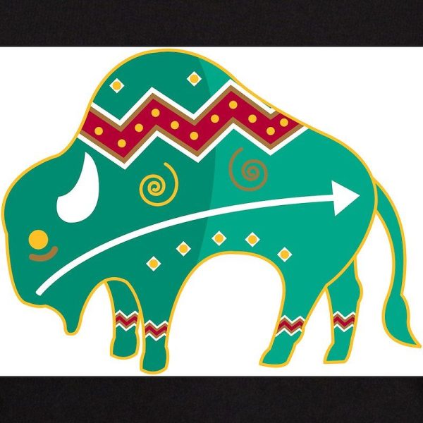 Indian Spirit Buffalo Light Men’s Value T-Shirt - Image 3