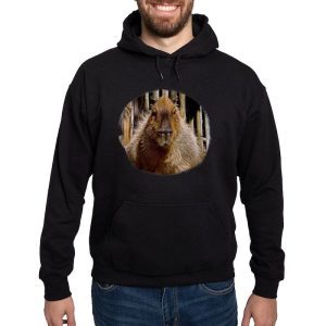 Capybara Staring Men’s Hooded Sweatshirt