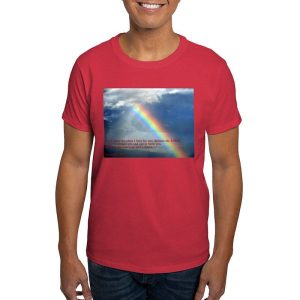 Jeremiah 29:11 Light Men’s Value T-Shirt